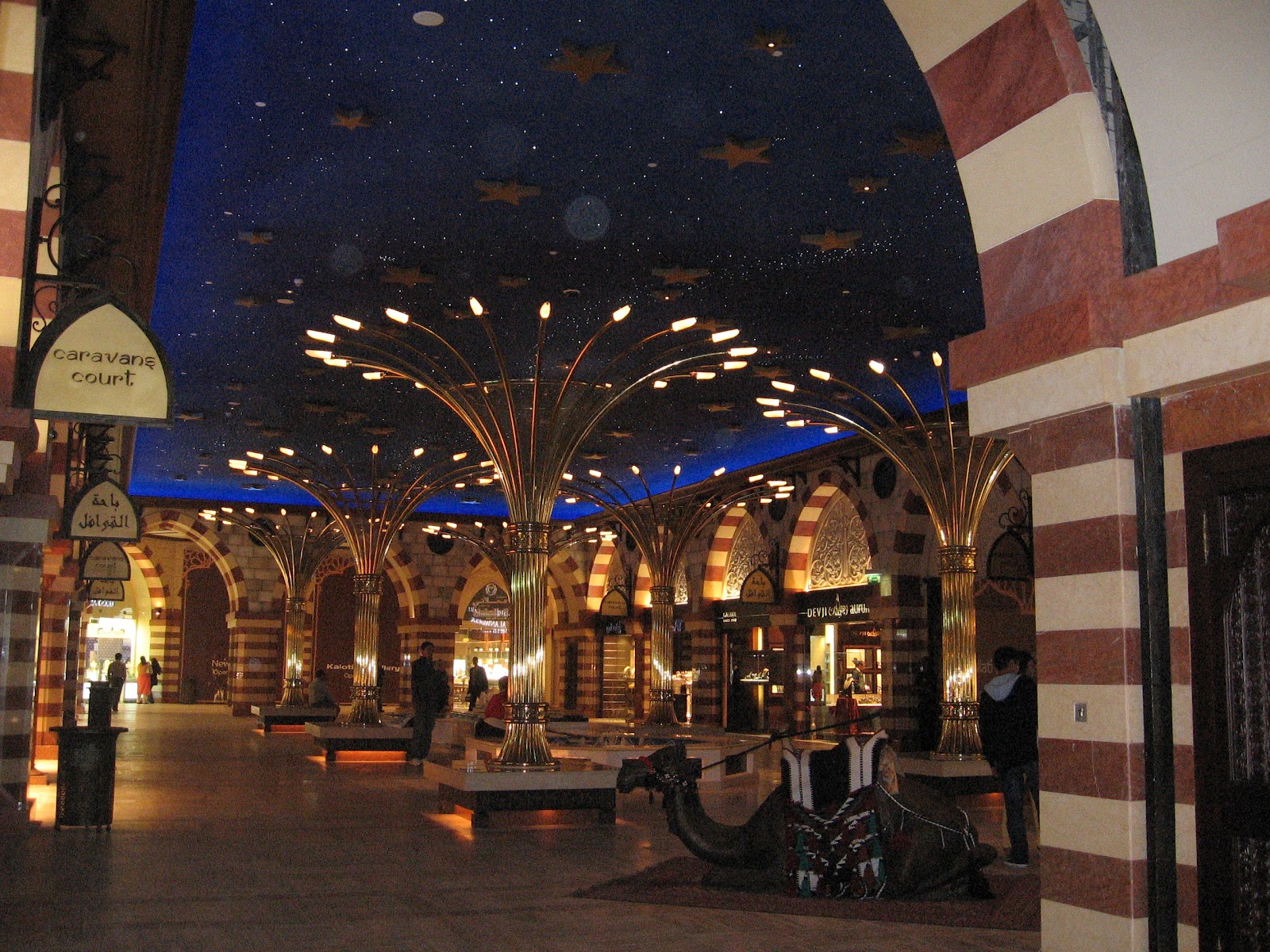 Dubai-January 2009 001