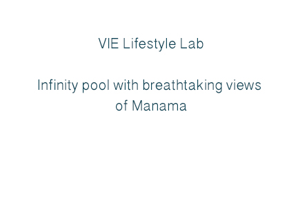 VIE Lifestyle Lab Awards